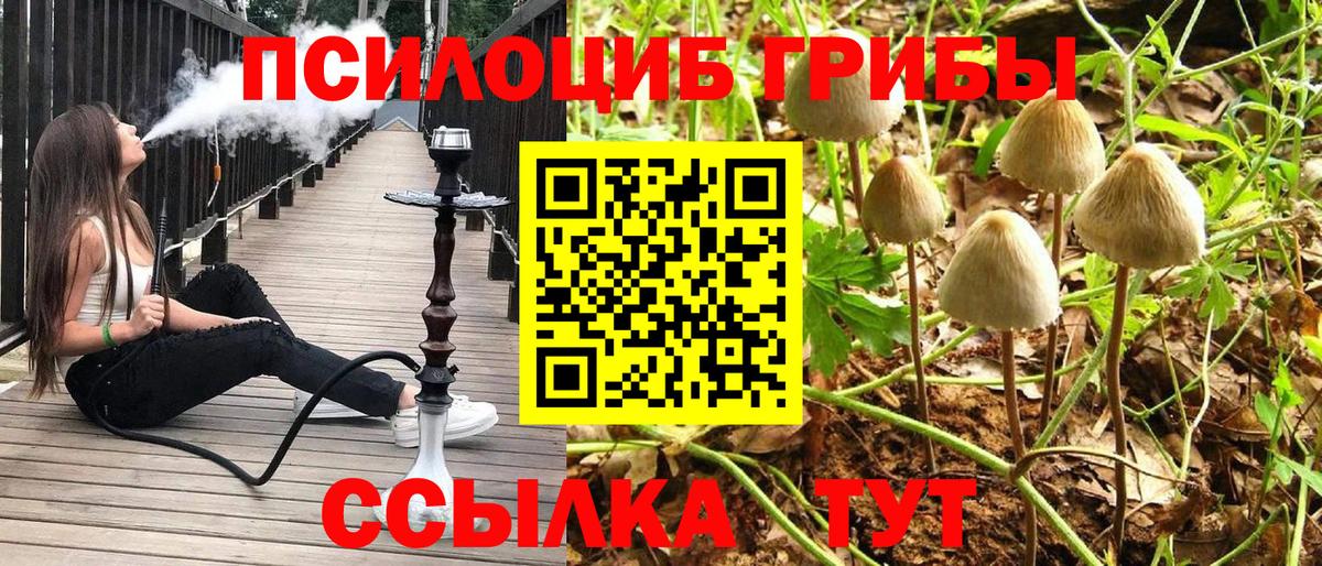 Усть-Илимск  Псилоцибиновые грибы ЛСД  Вход с VPN  Псилоцибиновые грибы Cubensis 