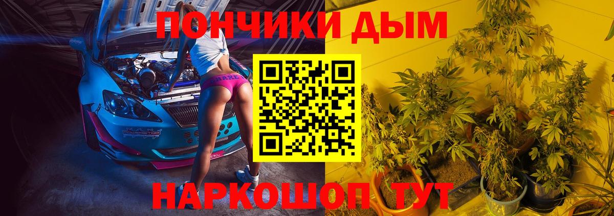 Шишки марихуана марихуана  Бошки марихуана гибрид  Конопля SATIVA & INDICA  Усть-Илимск  Вход с VPN 